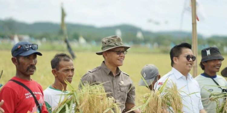 Lagi-lagi, Samsun Soroti Sektor Pertanian Kaltim, Minta Pemerintah Perhatikan Ketahanan Pangan