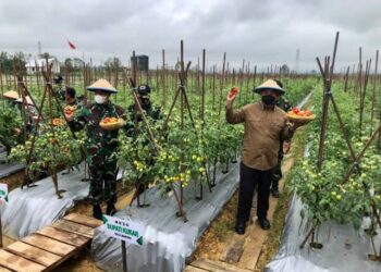 Jadi Desa Mandiri, Begini Strategi Desa Tanjung Batu Kukar