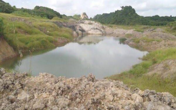 Sambut IKN, Sangasanga Akan Manfaatkan Lahan Bekas Tambang untuk Peternakan