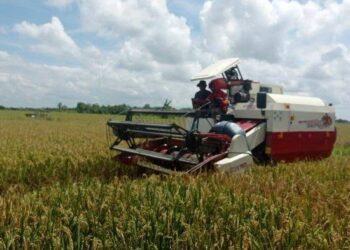 Desa Pariaman dan Karang Tunggal Jadi Lokasi Terpilih Kembangkan Pertanian