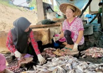Produk Olahan Ikan Muara Muntai Diminati Hingga Pulau Jawa