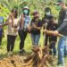 Desa Jembayan Tengah Kukar Hasilkan Singkong Yang Menarik Minat Wisatawan