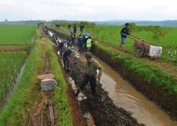 Dukung Program Lumbung Pangan, Desa Loh Sumber Gencar Bangun Jaringan Irigasi