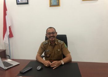 Madu Kelulut Teluk Dalam, Pemanis Alami yang Mendunia dari Kutai Kartanegara