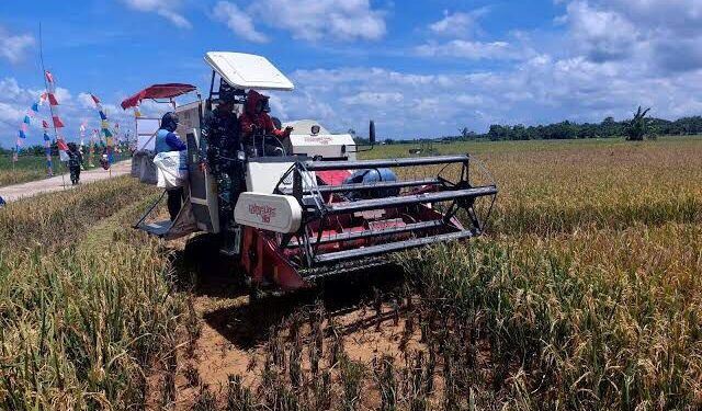 Inisiatif Kukar Menghidupkan Lahan Tidur untuk Ketahanan Pangan