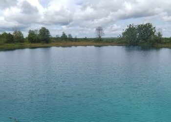 Keajaiban Alam dan Sejarah di Purwajaya: Danau Biru dan Fosil Pohon