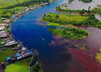 Desa Pela Raih Pengakuan Nasional dengan Masuk 21 Besar Penghargaan Kalpataru