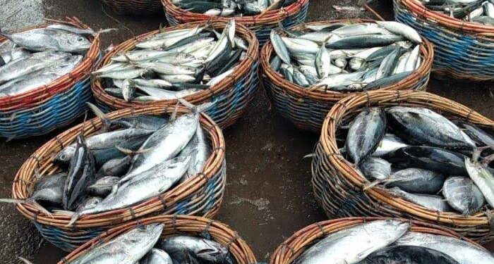 Disperindag Kukar Bidik Pasar Ekspor untuk Produk Perikanan