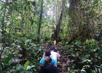 Desa Kedang Ipil Siapkan Rencana Besar untuk Pengembangan Hutan Adat