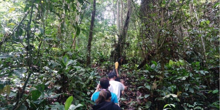 Desa Kedang Ipil Siapkan Rencana Besar untuk Pengembangan Hutan Adat