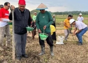 Revitalisasi Lahan Bekas Tambang di Desa Embalut Jadi Ladant Pertanian Jagung