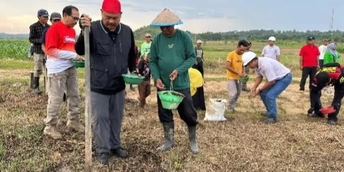 Revitalisasi Lahan Bekas Tambang di Desa Embalut Jadi Ladant Pertanian Jagung