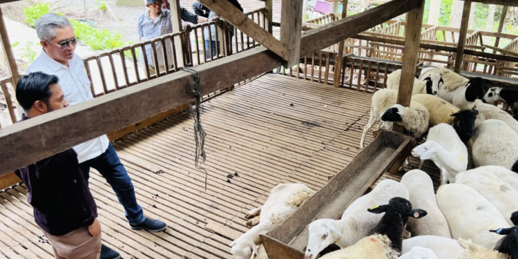 Cipta Visi Farm: Kaum Muda Kutim Bisa Sukses dari Peternakan 
