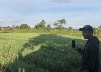 Sangasanga Jadi Lumbung Pangan Baru Kukar, Lahan Eks Tambang Disulap untuk Pertanian