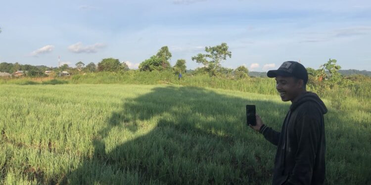 Sangasanga Jadi Lumbung Pangan Baru Kukar, Lahan Eks Tambang Disulap untuk Pertanian