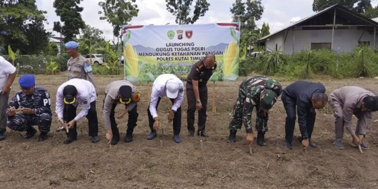 Sinergi Polres Kutim dan Pemkab Dorong Ketahanan Pangan melalui Penanaman Singkong