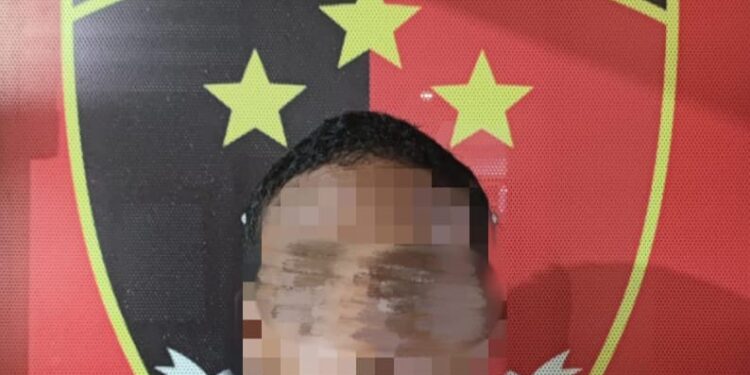 Pria Bersenjata Tajam Mengamuk, Polsek Palaran Bertindak Cepat Amankan Pelaku