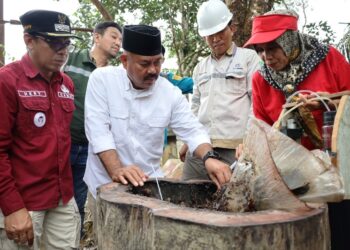Madu Kelulut Desa Tani Harapan, Strategi Baru Pemkab Kukar Dorong Ekonomi Berbasis Lokal
