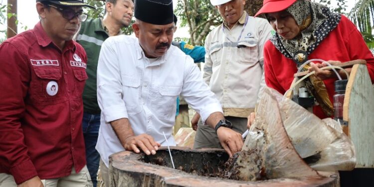 Madu Kelulut Desa Tani Harapan, Strategi Baru Pemkab Kukar Dorong Ekonomi Berbasis Lokal