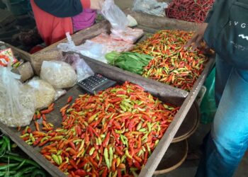 Ramadan Lebih Tenang! Harga Cabai di Kukar Mulai Turun, Stok Aman