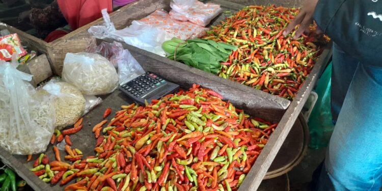 Ramadan Lebih Tenang! Harga Cabai di Kukar Mulai Turun, Stok Aman
