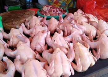 Panic Buying Picu Kenaikan Harga Ayam di Kukar