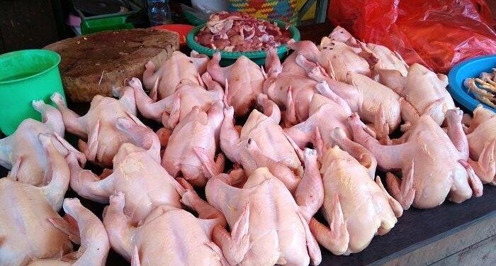 Panic Buying Picu Kenaikan Harga Ayam di Kukar