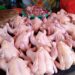 Panic Buying Picu Kenaikan Harga Ayam di Kukar