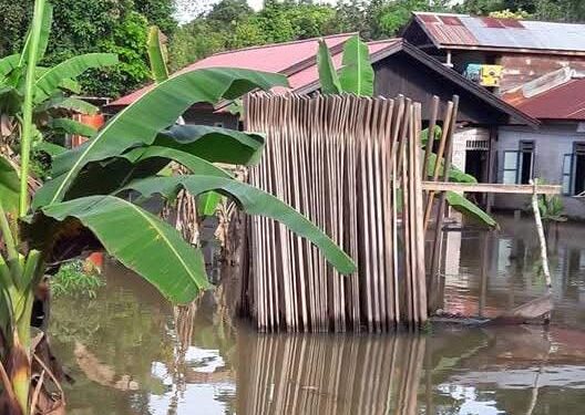 BPBD Kukar Pantau Ketat Banjir Tabang, Warga Diimbau Hindari Sungai