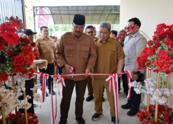 Polindes dan Rumah Bidan Resmi Beroperasi di Loa Lepu