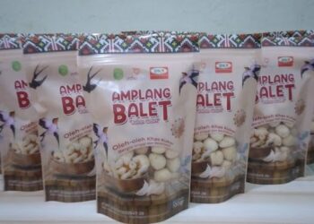 Desa Teluk Dalam Punya Inovasi Kuliner Ekspor: Amplang Sarang Walet