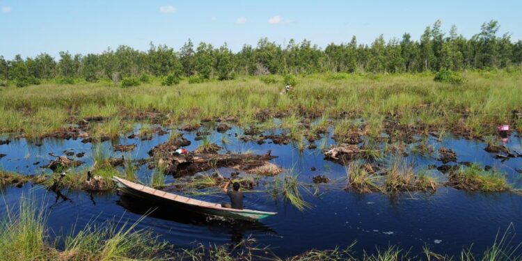 Desa Sebelimbingan Ambil Peran di Perdagangan Karbon