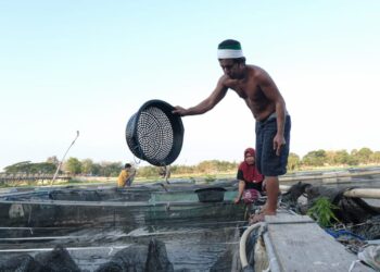 Desa Ponoragan Terancam Krisis Bibit Ikan Pascabanjir, Kades Minta Pemulihan Cepat