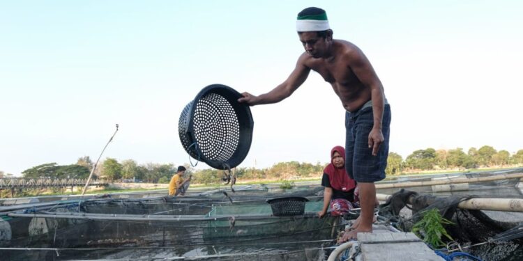 Desa Ponoragan Terancam Krisis Bibit Ikan Pascabanjir, Kades Minta Pemulihan Cepat
