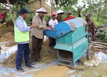 Panen Raya di Desa Mulawarman, Petani Buktikan Ketahanan Pangan Lokal