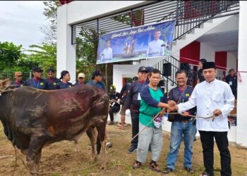 Dinas PU Kukar Sembelih Tujuh Ekor Sapi Kurban, Wujudkan Semangat Kepedulian Sosial di Hari Raya Iduladha