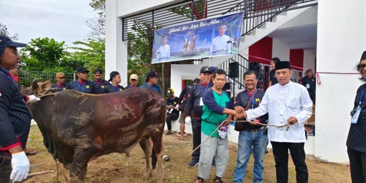 Dinas PU Kukar Sembelih Tujuh Ekor Sapi Kurban, Wujudkan Semangat Kepedulian Sosial di Hari Raya Iduladha
