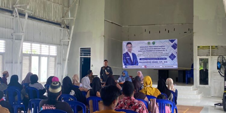Baharuddin Demmu Gaungkan Pemahaman Pengarusutamaan Gender di Desa Salo Cella