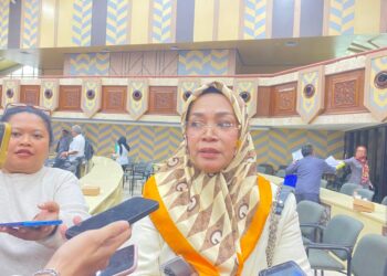 Syahariah Soroti Etika Representasi Pemerintah, Minta Penempatan Perwakilan Sesuai Struktur Kepemimpinan