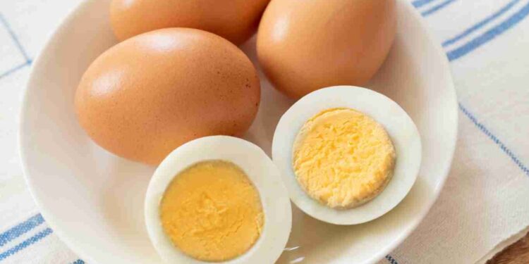 DP3A Kukar Ingin Telur Rebus Wajib Ada di Snack Rapat