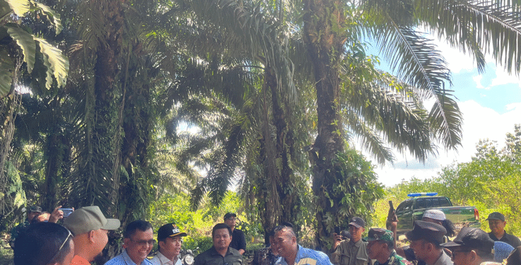 Jaga Kelancaran Aktivitas Warga dengan Jembatan Sementara