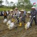 Polda Kaltim dan Pemkab Kutim Ubah Lahan Bekas Tambang Jadi Sumber Penghasilan