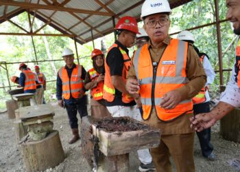 Hijaukan Bekas Tambang, Wakil Bupati Kutim Tanam Pohon Ulin di Arboretum IMM