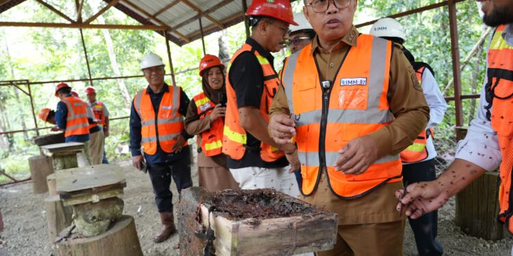 Hijaukan Bekas Tambang, Wakil Bupati Kutim Tanam Pohon Ulin di Arboretum IMM
