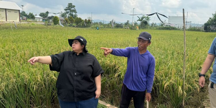 Saluran Irigasi Dikeluhkan, Petani Betapus Sampaikan Aspirasi ke Ananda Emira Moeis