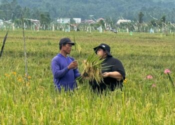 Dorong Produktivitas Petani, Ananda Emira Moeis Kampanyekan Penggunaan Pupuk Organik Cair