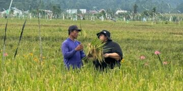 Dorong Produktivitas Petani, Ananda Emira Moeis Kampanyekan Penggunaan Pupuk Organik Cair