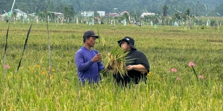 Dorong Produktivitas Petani, Ananda Emira Moeis Kampanyekan Penggunaan Pupuk Organik Cair