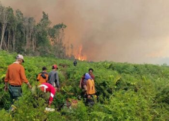 BPBD Samarinda Tingkatkan Kesiapsiagaan Hadapi Kemarau Panjang, Warga Diminta Tak Bakar Lahan