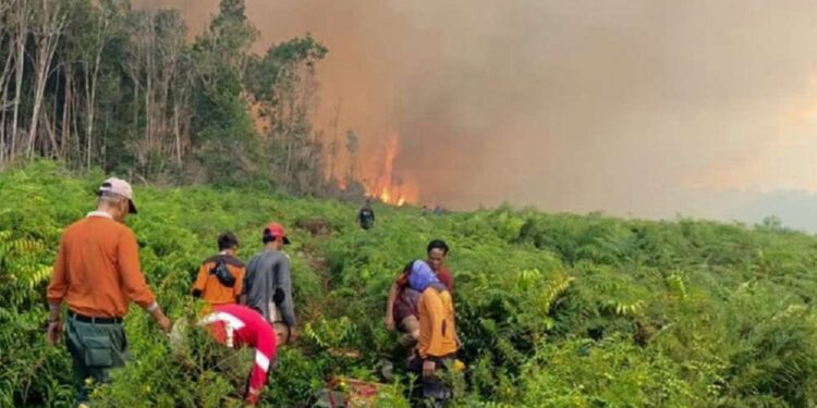 BPBD Samarinda Tingkatkan Kesiapsiagaan Hadapi Kemarau Panjang, Warga Diminta Tak Bakar Lahan
